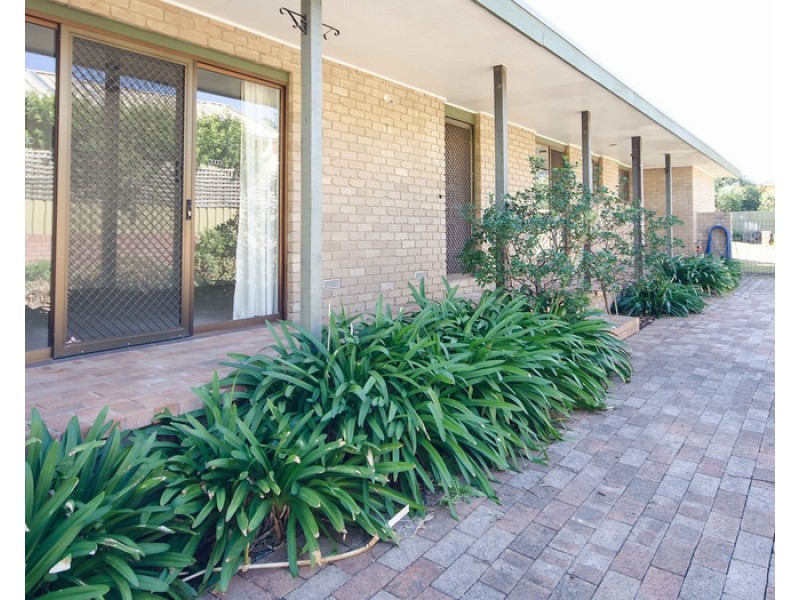 41 Gardner Street, Wodonga VIC 3690