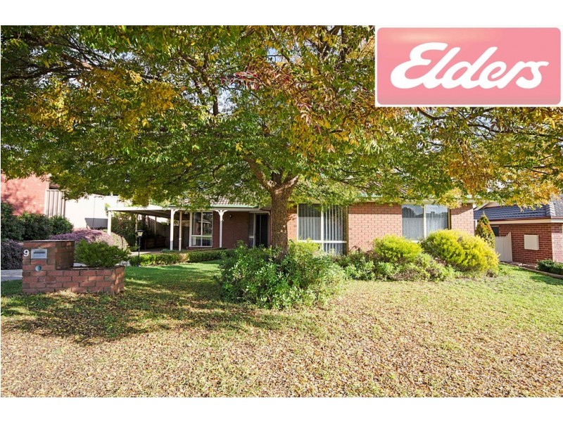 9 Meyer Place, Thurgoona NSW 2640