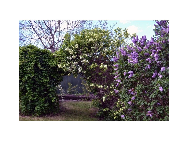 173 Kiewa Valley Highway, Tawonga VIC 3697