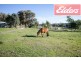 293 Star Lane, Wooragee VIC 3747