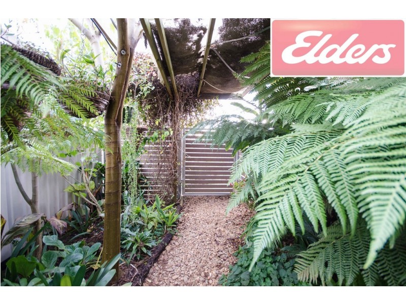 61 Craig Circuit, Leneva VIC 3691