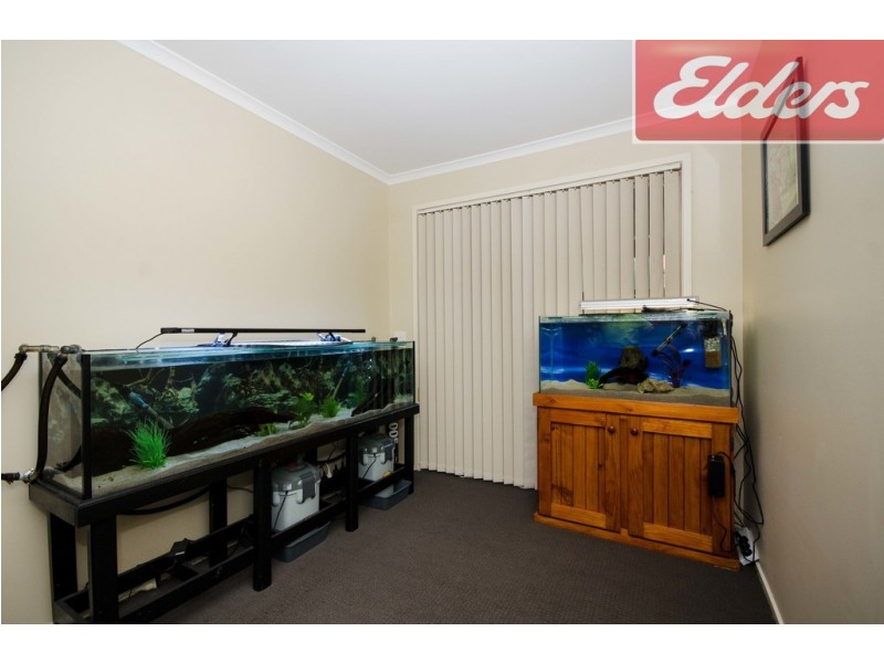 8 Quinlivan Place, Wodonga VIC 3690