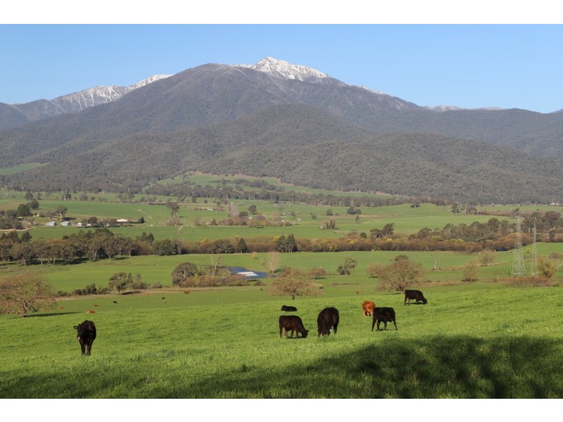 36 Valley Avenue, Mount Beauty VIC 3699