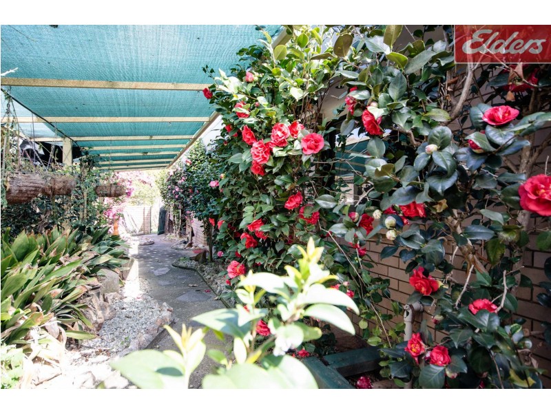 10 Allambie Crescent, Wodonga VIC 3690