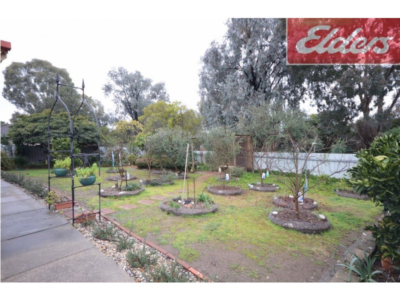 17 Bourke Crescent, Wodonga VIC 3690