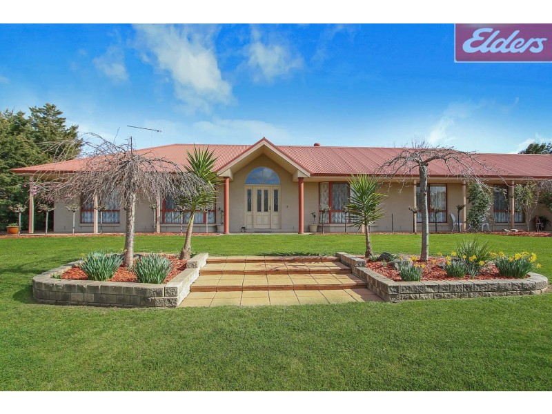 59 The Avenue, Thurgoona NSW 2640