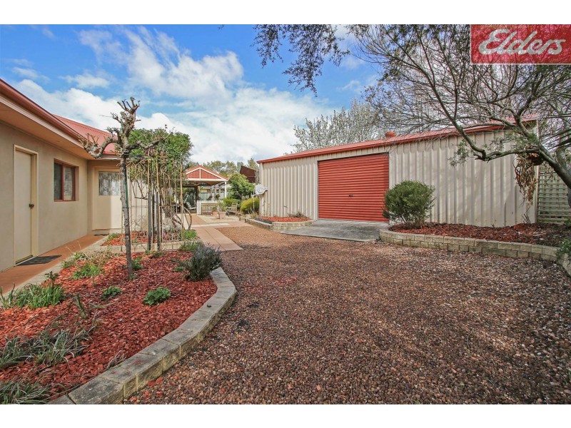 59 The Avenue, Thurgoona NSW 2640