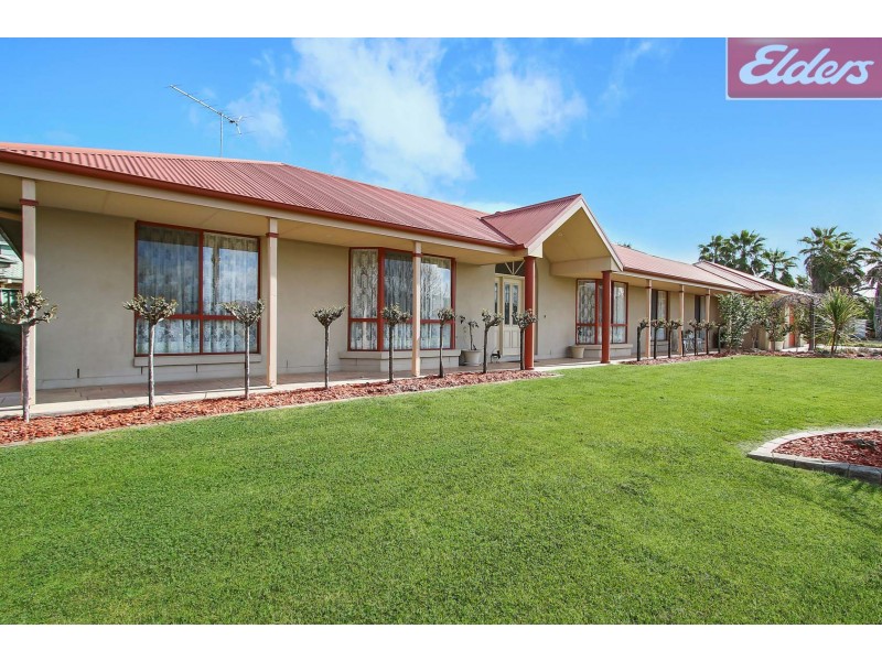 59 The Avenue, Thurgoona NSW 2640