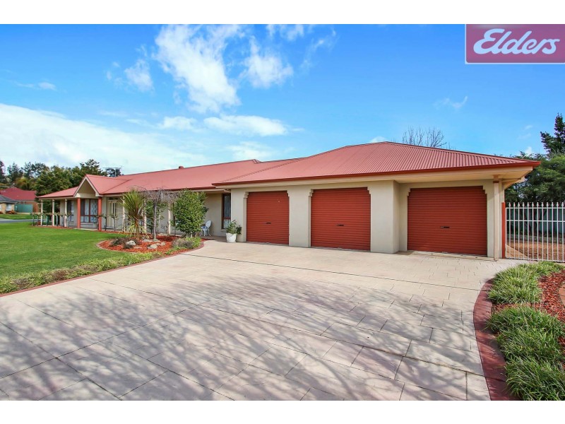 59 The Avenue, Thurgoona NSW 2640