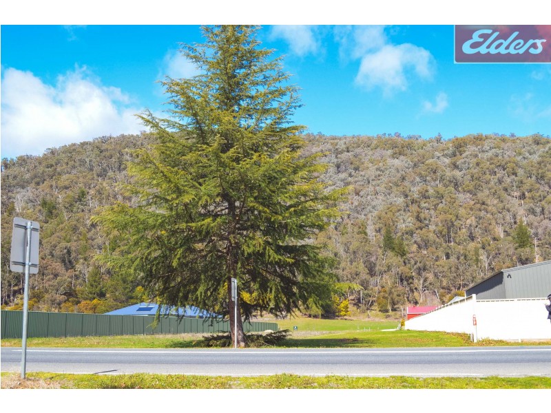 3 Tempo Crescent, Bright VIC 3741