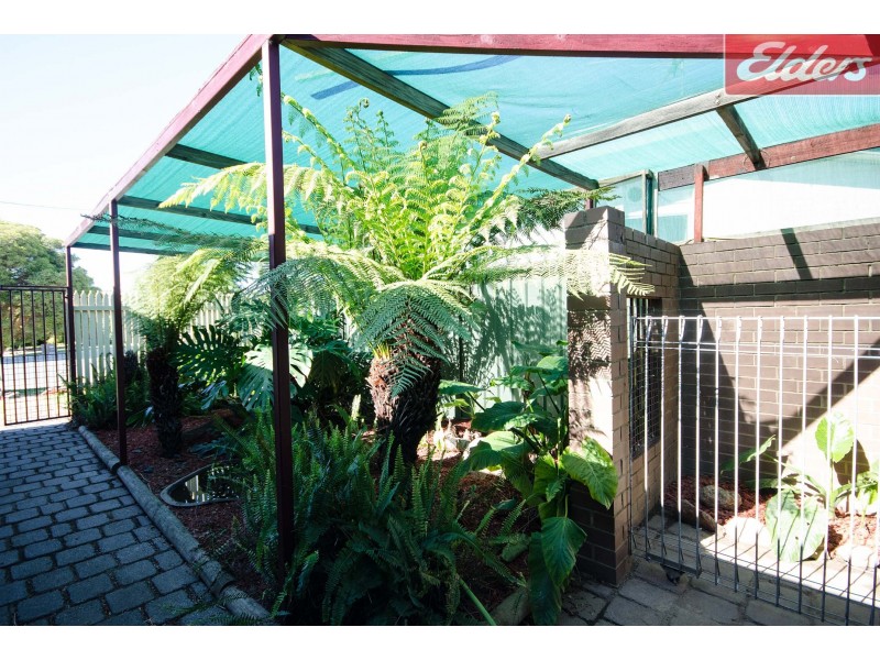 5 Sofia Court, Wodonga VIC 3690