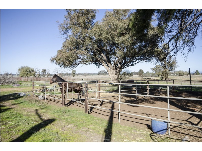4100 Olympic Highway, Henty NSW 2658