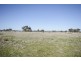 4100 Olympic Highway, Henty NSW 2658