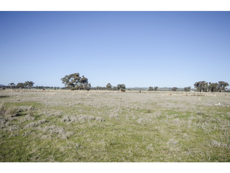 4100 Olympic Highway, Henty NSW 2658