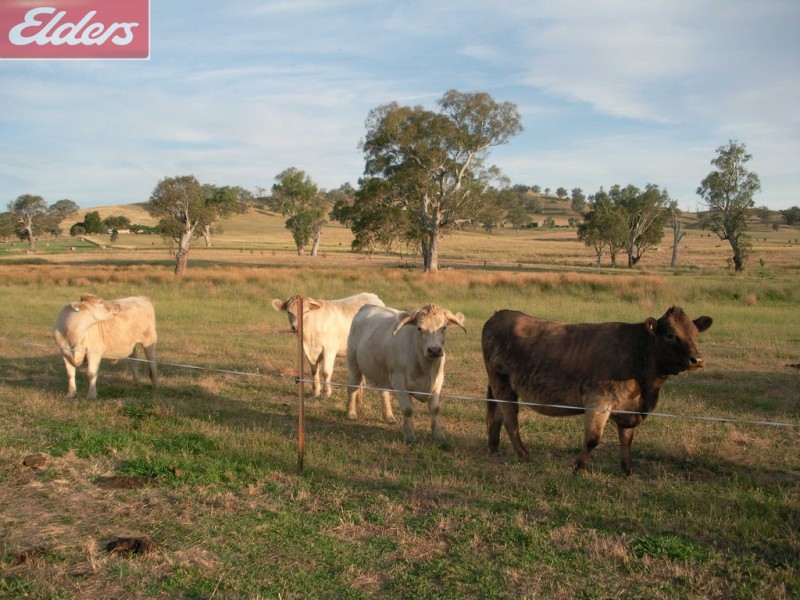 13 Beartooth Place, Tangambalanga VIC 3691