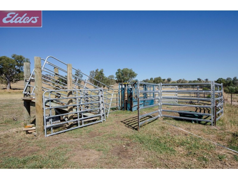 13 Beartooth Place, Tangambalanga VIC 3691