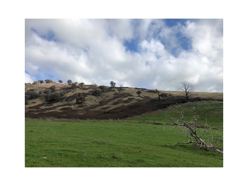 - Schultz Lane, Gundowring VIC 3691