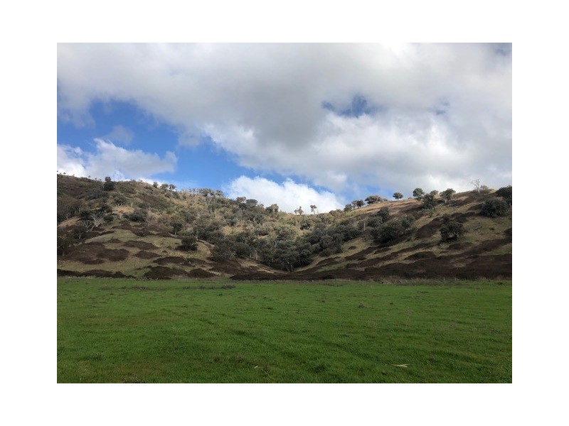 - Schultz Lane, Gundowring VIC 3691