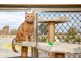 2380 Murray Valley Highway, Barnawartha VIC 3688