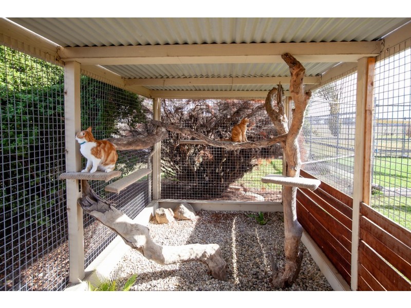 2380 Murray Valley Highway, Barnawartha VIC 3688