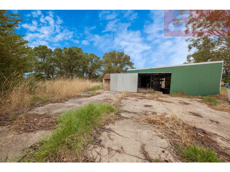 4823 Kiewa Valley Highway, Dederang VIC 3691