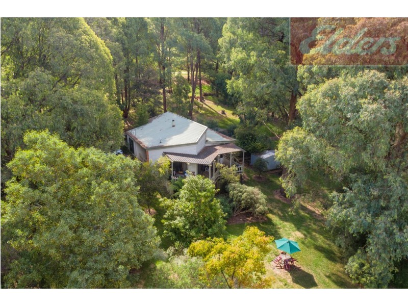 35 Diggings Road, Tawonga VIC 3697