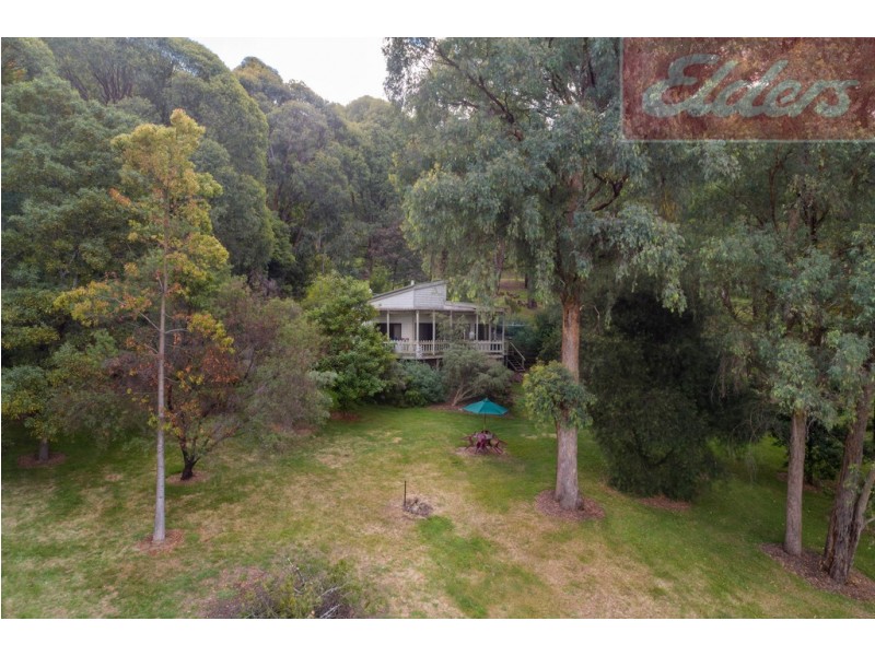 35 Diggings Road, Tawonga VIC 3697