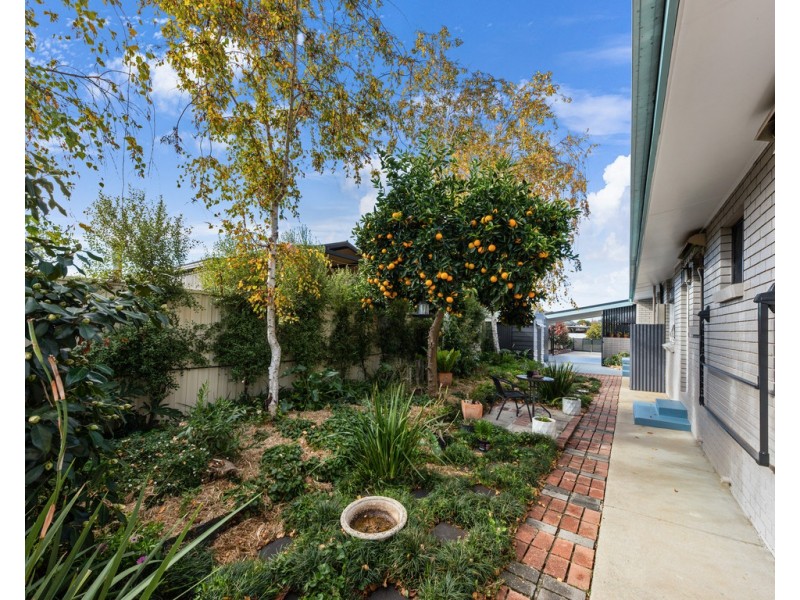 11 Burnley Street, Wodonga VIC 3690