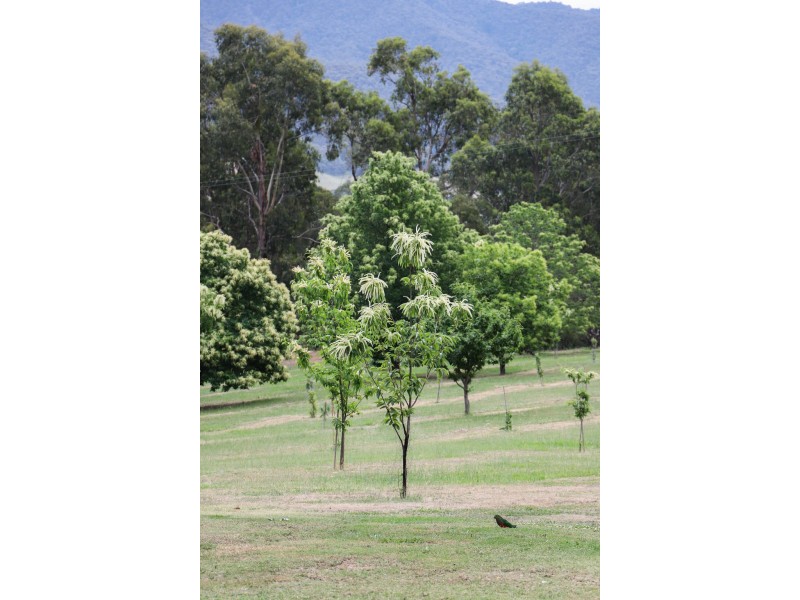 34 Costantinos Lane, Tawonga VIC 3697