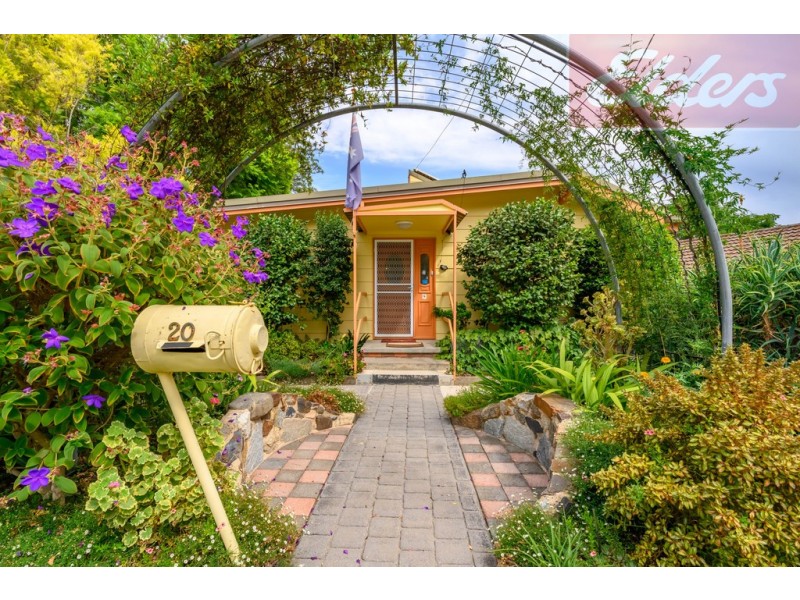 20 Dwyer Crescent, Bellbridge VIC 3691