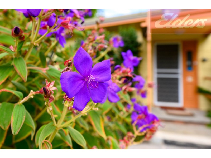 20 Dwyer Crescent, Bellbridge VIC 3691