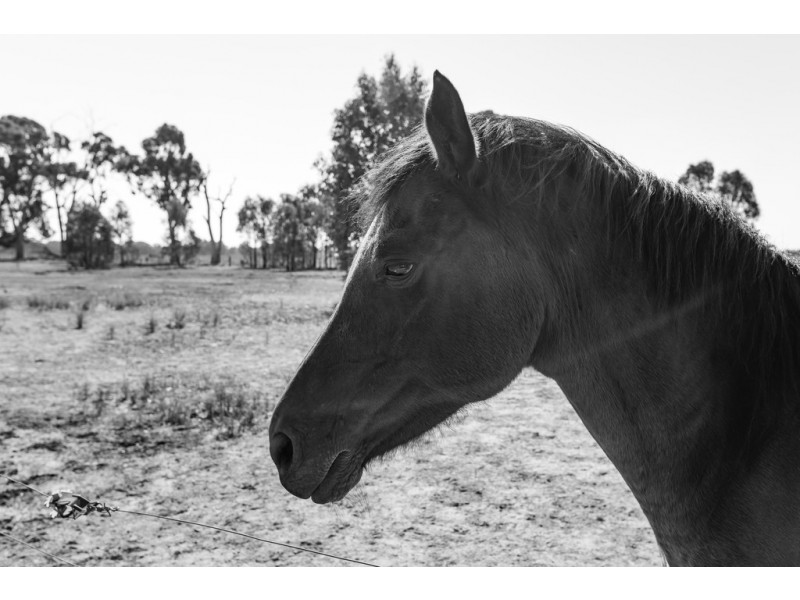 289 Soldiers Road, Barnawartha VIC 3688