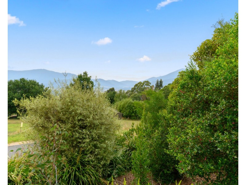 1 Buckland Street, Tawonga South VIC 3698