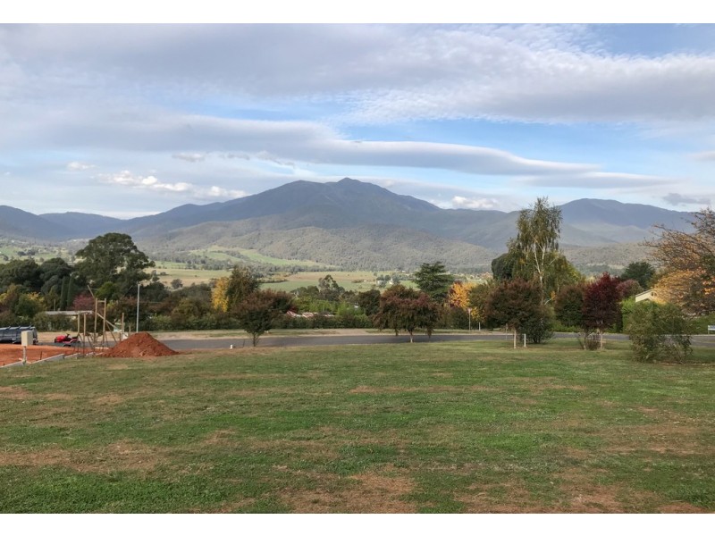 1 Fiddleback Drive, Tawonga South VIC 3698