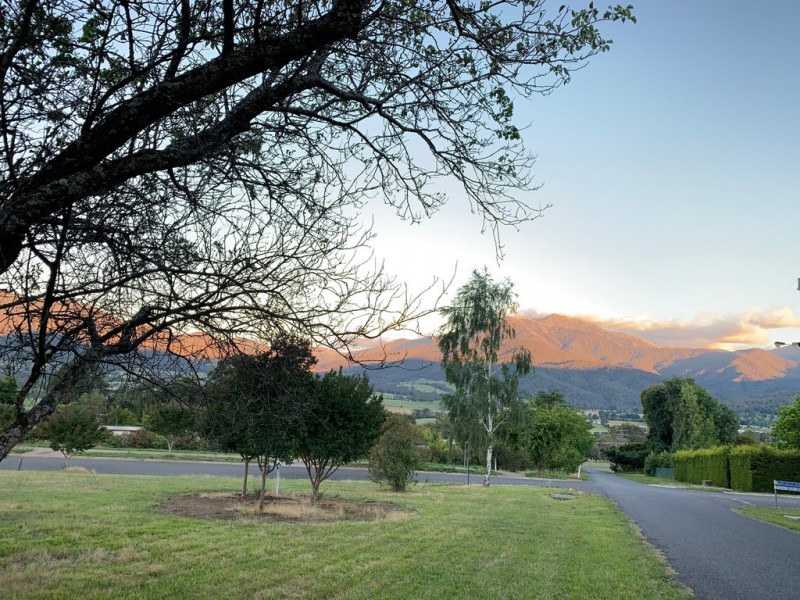 1 Fiddleback Drive, Tawonga South VIC 3698