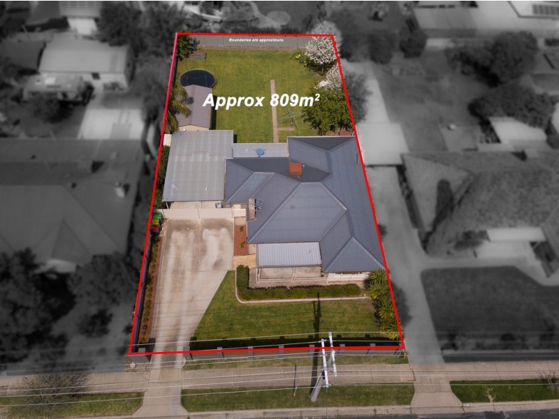 41 Wilson Street, Wodonga VIC 3690