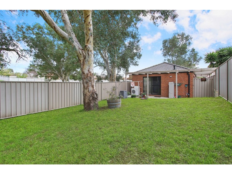3/4 Horsfall Court, Wodonga VIC 3690