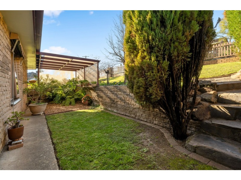 423 Parkview Crescent, Lavington NSW 2641