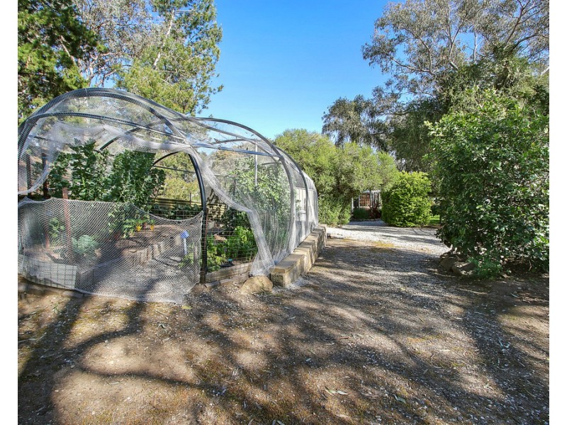 1A Carlisle Crescent, Wodonga VIC 3690