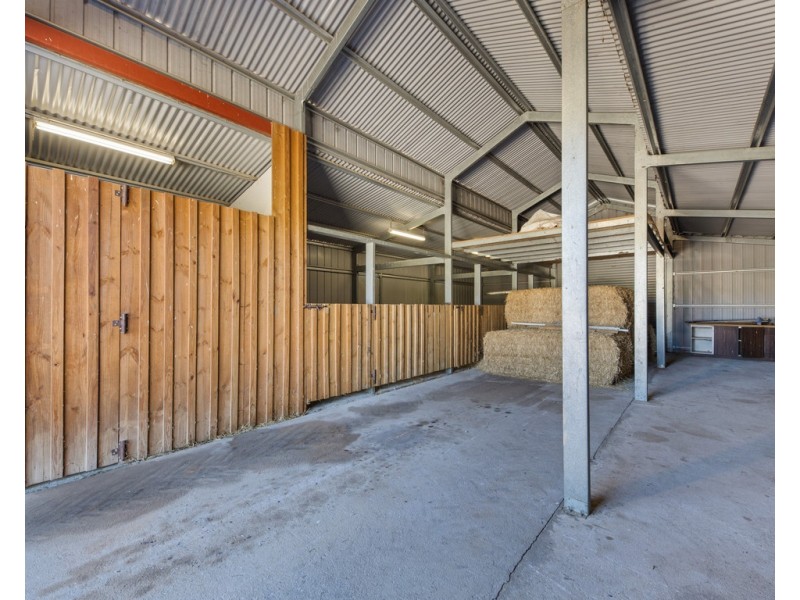 581 Castle Creek Road, Castle Creek VIC 3691