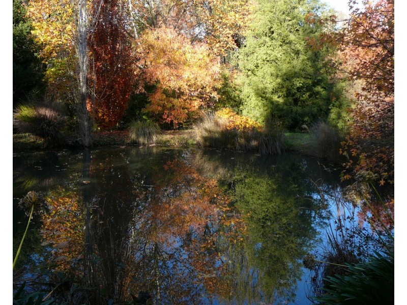 134 Yackandandah Road, Yackandandah VIC 3749