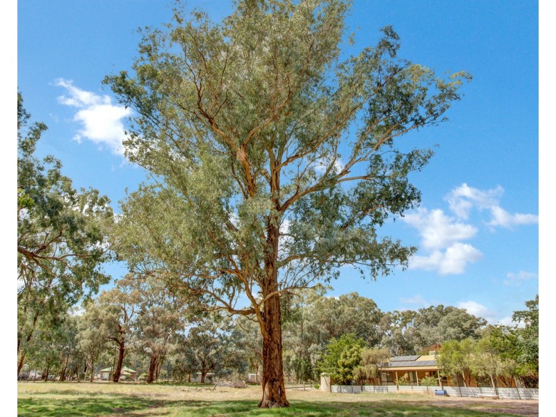 29 Thompsons Lane, Barnawartha VIC 3688