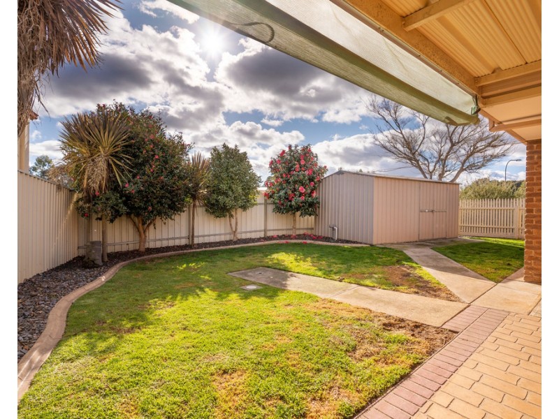 19 Hartigan Street, Thurgoona NSW 2640