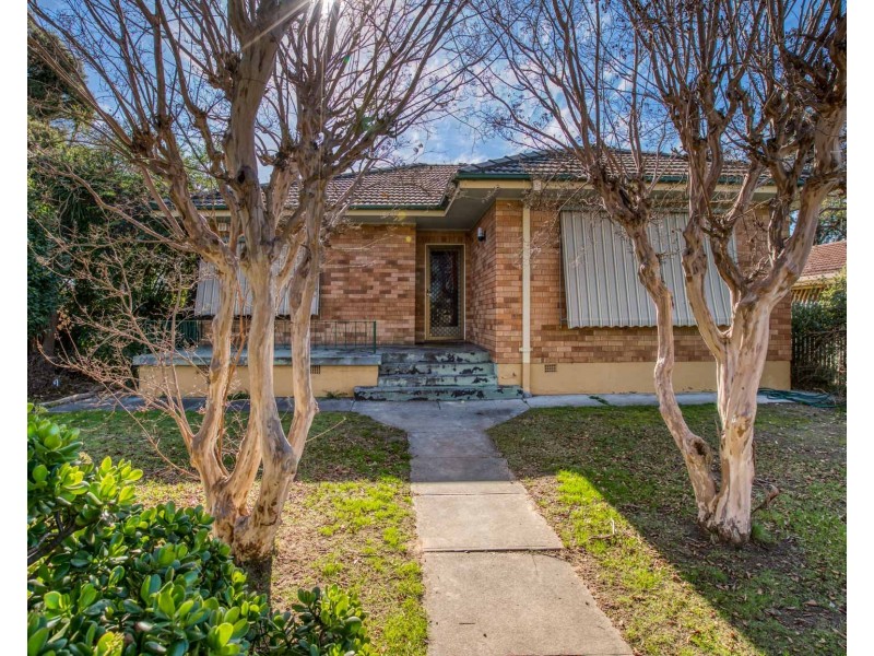 484 McDonald Road, Lavington NSW 2641