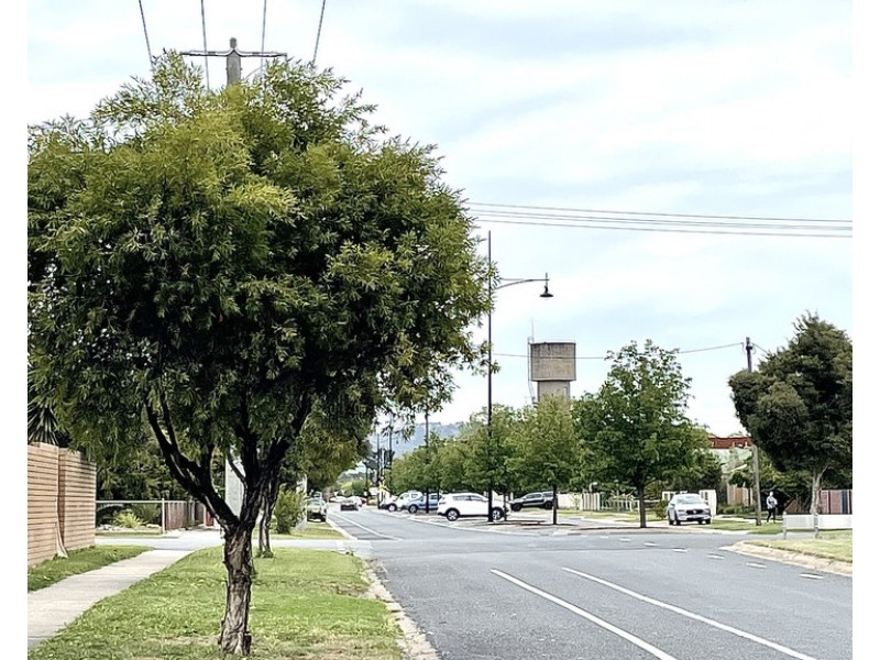 141 Lawrence Street, Wodonga VIC 3690