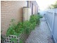 72 Albert Road, Chiltern VIC 3683