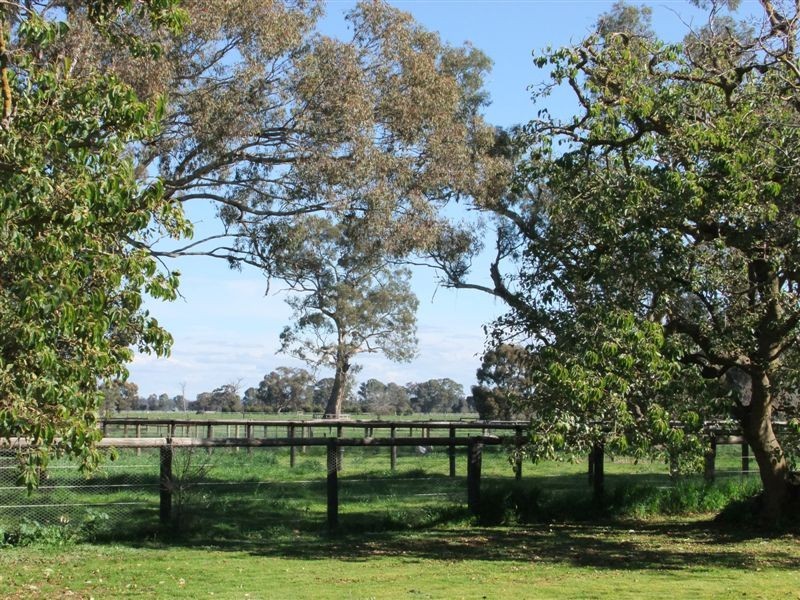 1 Willis Rd, Avenel VIC 3664