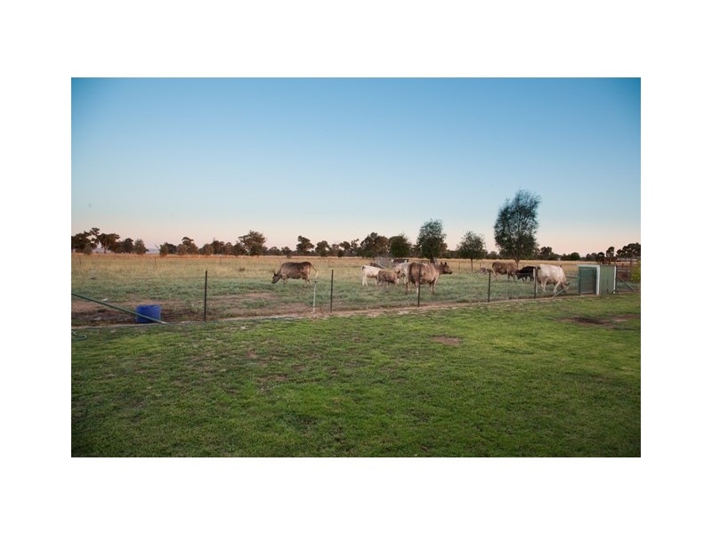 Lot 330 Sturt Street, Howlong NSW 2643