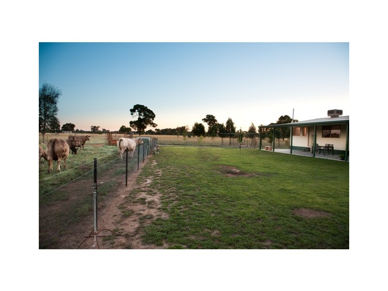 Lot 330 Sturt Street, Howlong NSW 2643