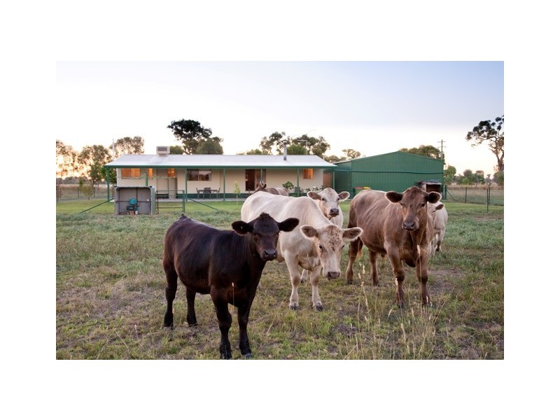 Lot 330 Sturt Street, Howlong NSW 2643